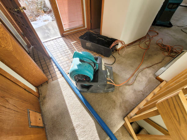 Best Water damage restoration insurance claims  in West Odessa, TX