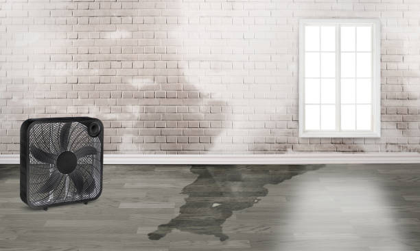 Best Residential water damage restoration  in West Odessa, TX