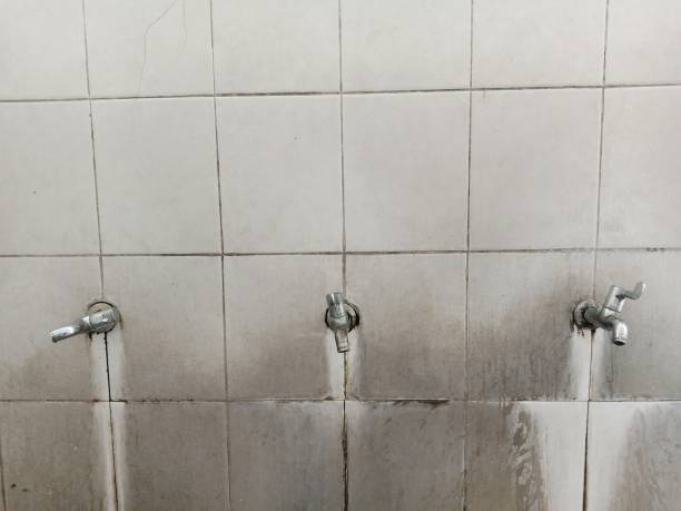 Best Water damage restoration mold remediation  in West Odessa, TX